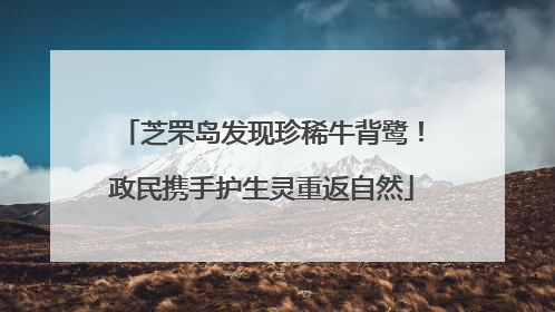 芝罘岛发现珍稀牛背鹭！政民携手护生灵重返自然